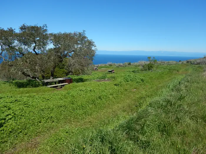 SANTA CRUZ DEL NORTE BACKCOUNTRY — Picnic table and food storage box surrounded by low bushes and grass overlooking ocean.