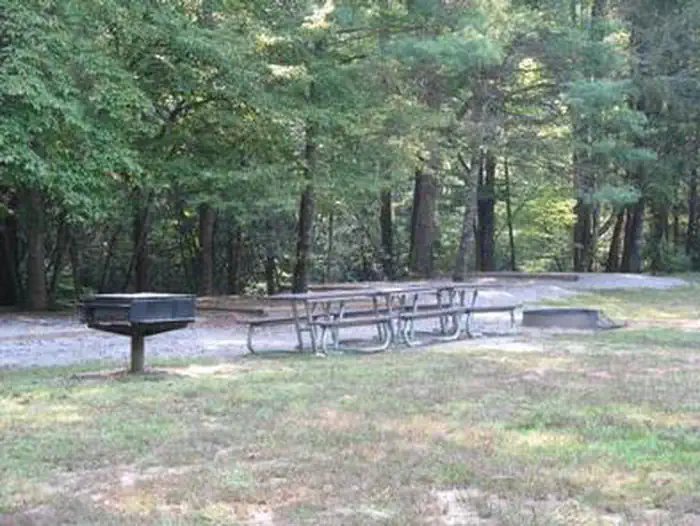 CATALOOCHEE GROUP CAMP — CATALOOCHEE GROUP CAMP picnic table