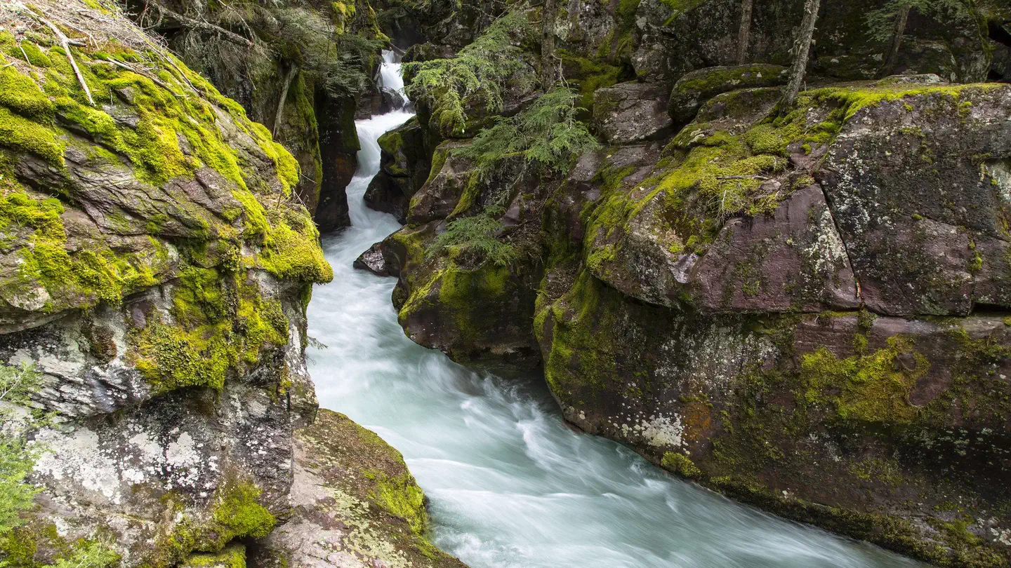 Avalanche Creek