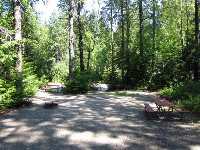 Avalanche Campground — Picnic table and fire ring in the shade of trees.