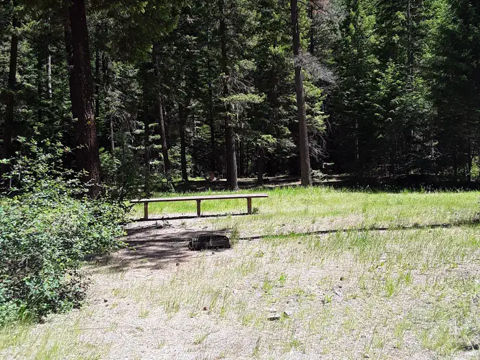 Trout Creek Campground (MT) — Trout Creek Campground Day Use Area.
