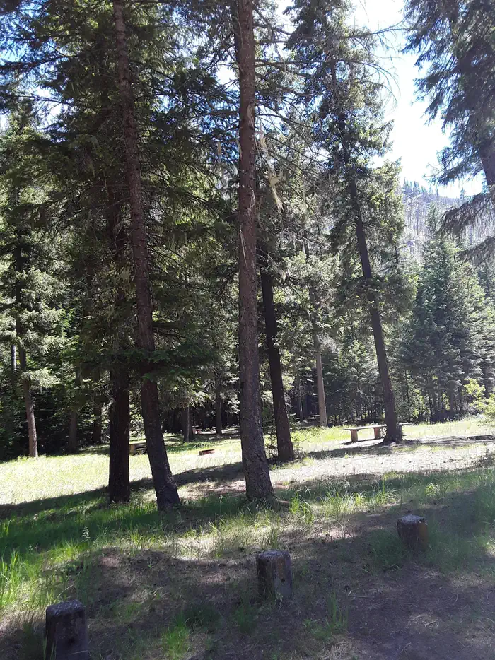Trout Creek Campground (MT) — Trout Creek Campground Day Use Area