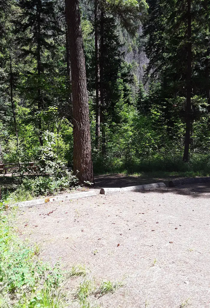 Trout Creek Campground (MT) — Trout Creek Campground Site 10