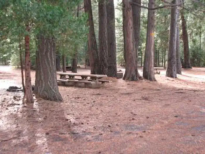 CAMP 4 GROUP CAMPGROUND β CAMP 4 GROUP CAMPGROUND