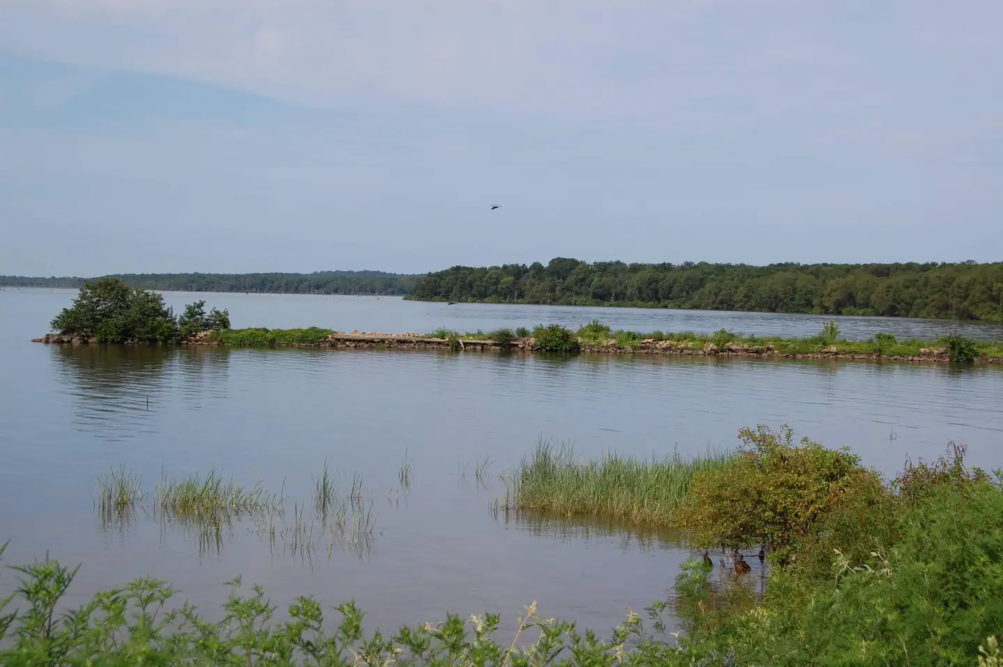 Paraloma Park — Fishing Pier