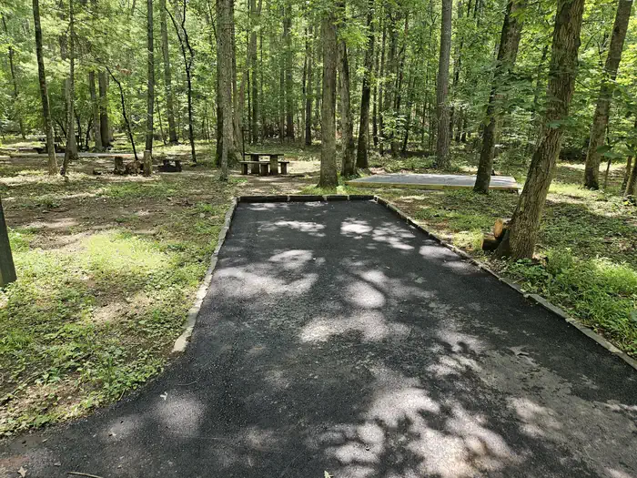Otter Creek Campground — Otter Creek Campsite