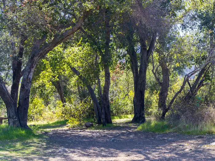 Holiday Group Campground β Holiday group Campground a