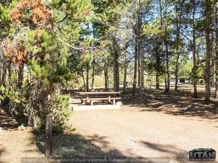 Stateline Campground Long Term — Stateline Site 1