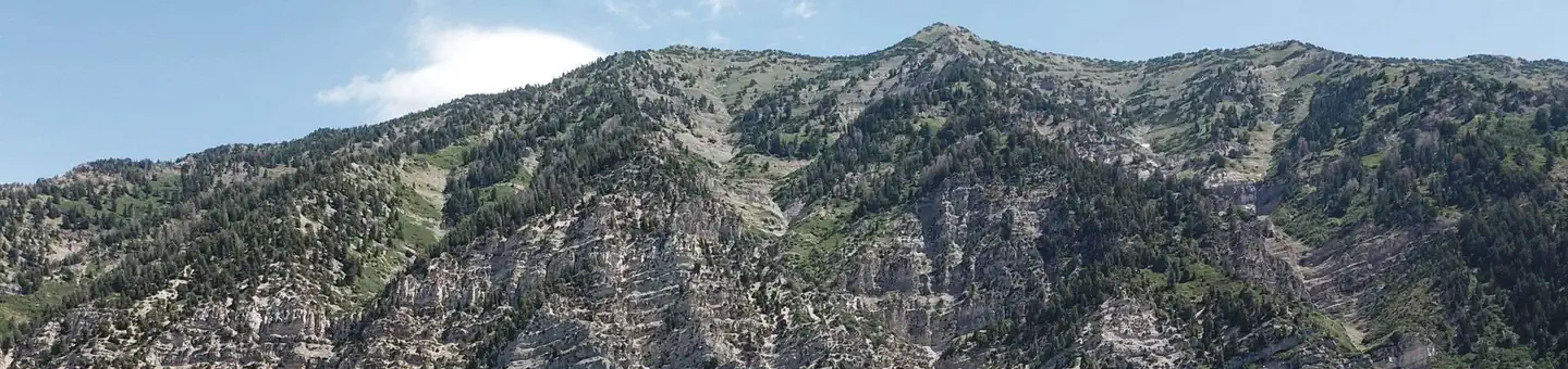 Uinta National Forest Rock Canyon Campground