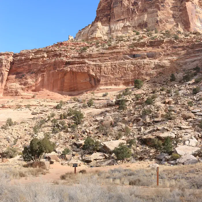 Buckhorn Draw — Two campsites are tucked into an alcove surrounded by tan cliffs and slope of rockfall