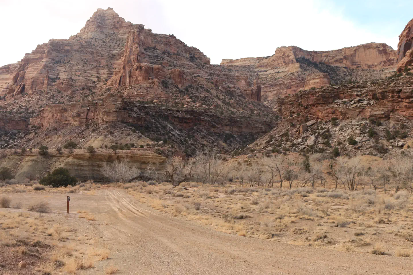 Buckhorn Draw — Tan sandstone cliffs rise up behind a gravel road with a campsite on one side and bare cottonwood trees on the other.