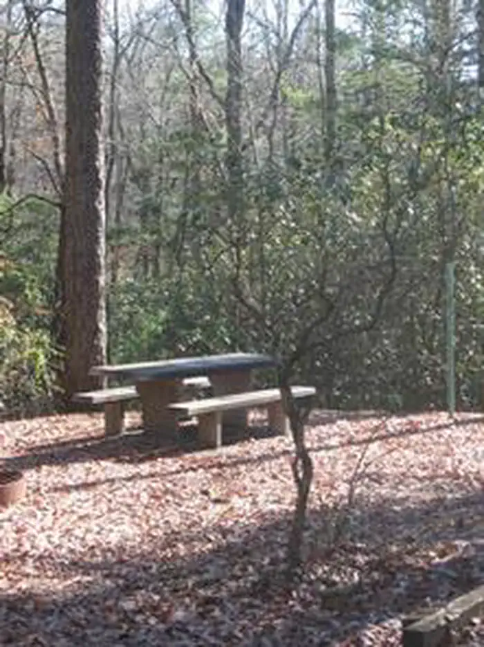 Sumter National Forest Cherry Hill Recreation Area