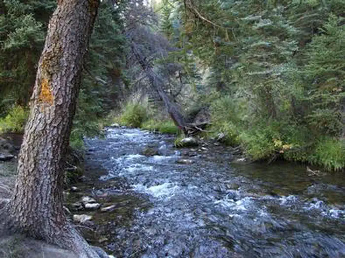 BIG ROCK GROUP — Big Rock Group Campground