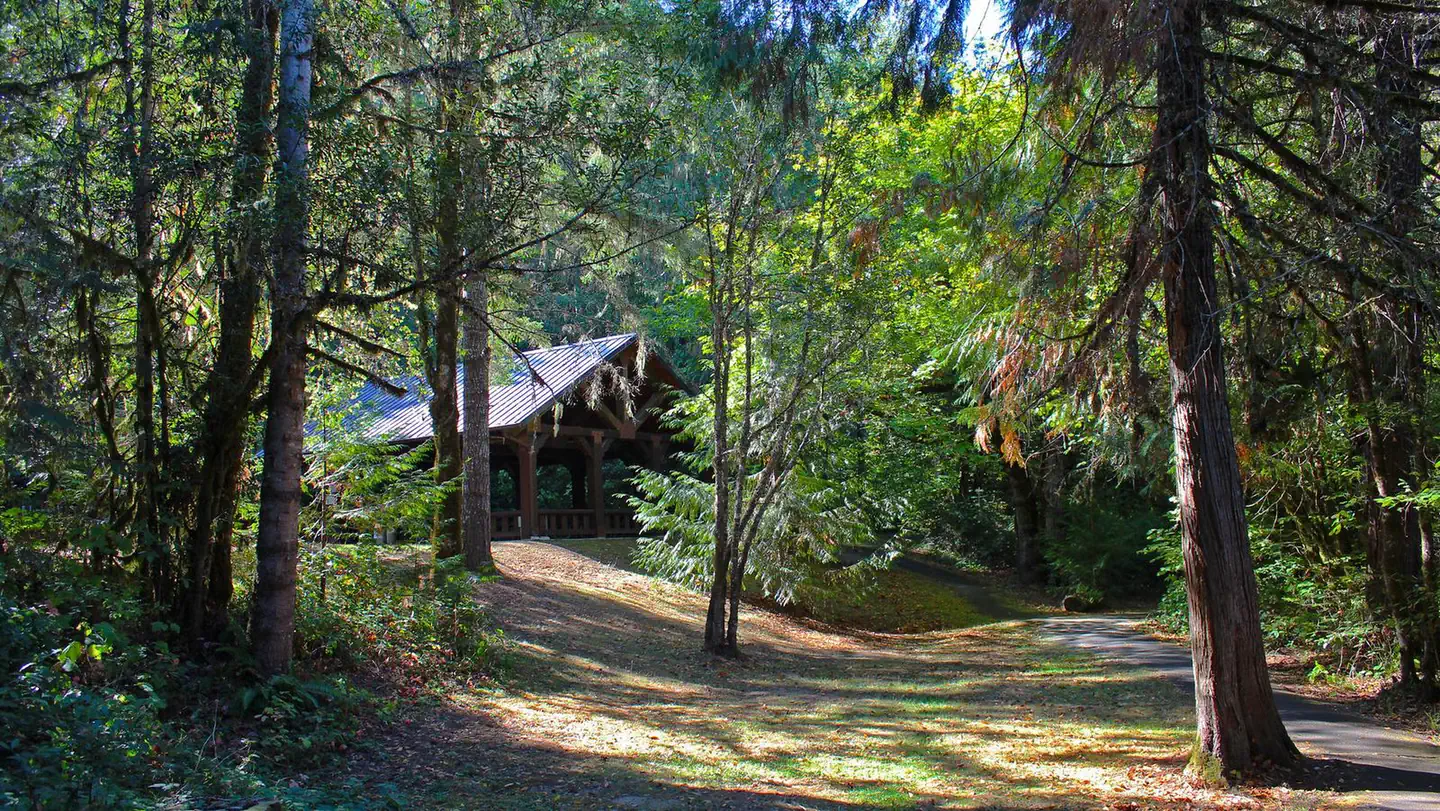Tyee Recreation Site