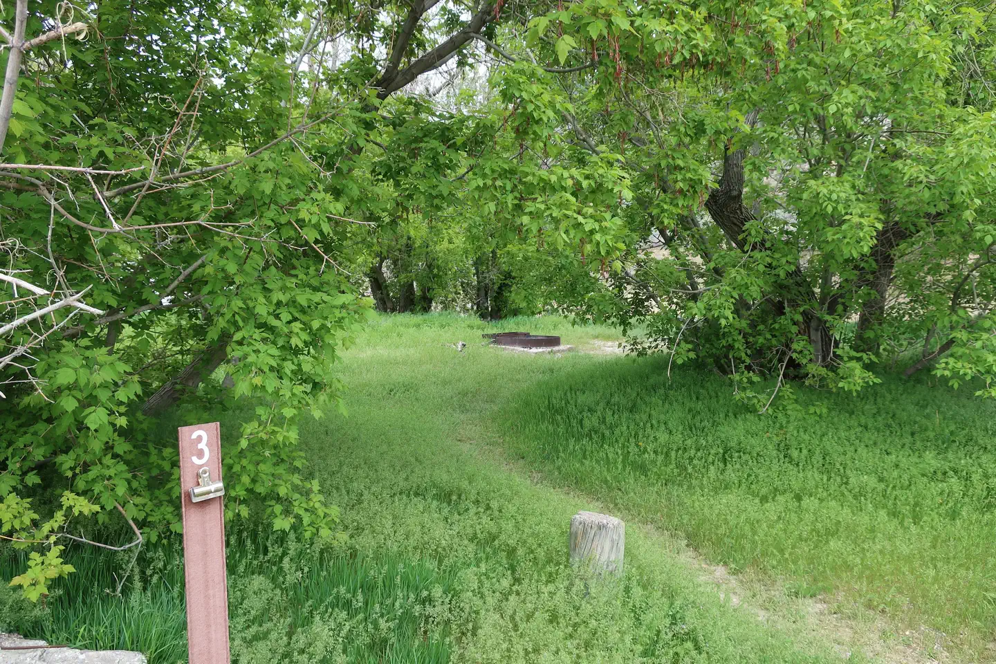 Rainbow Park Campground — Campsite 3 Rainbow Park campground