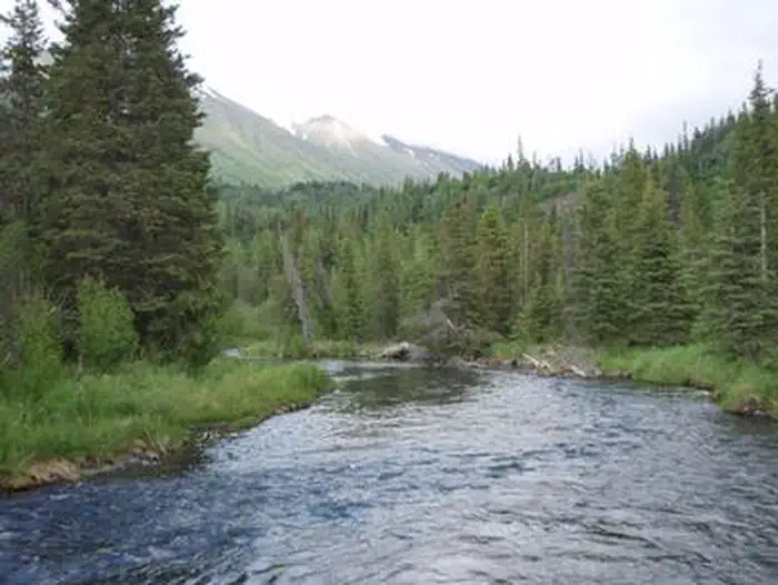 Aspen Flats Cabin (Chugach National Forest, AK) — ASPEN FLATS CABIN`