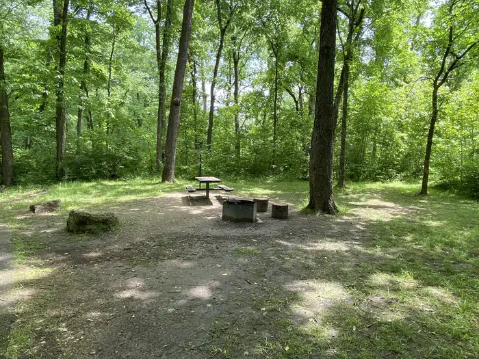 Lane Spring Recreation Area — A open campsite with fire grill, picnic table, and rock barriers in the foreground and green vegatation background.