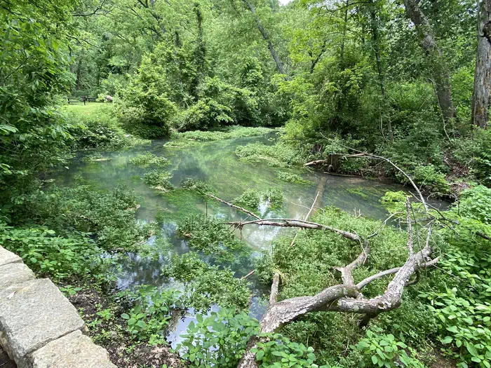 Lane Spring Recreation Area — A view looking at Lane Spring's blue water with green vegetation along the banks.
