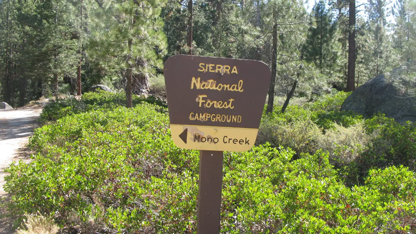 Mono Creek