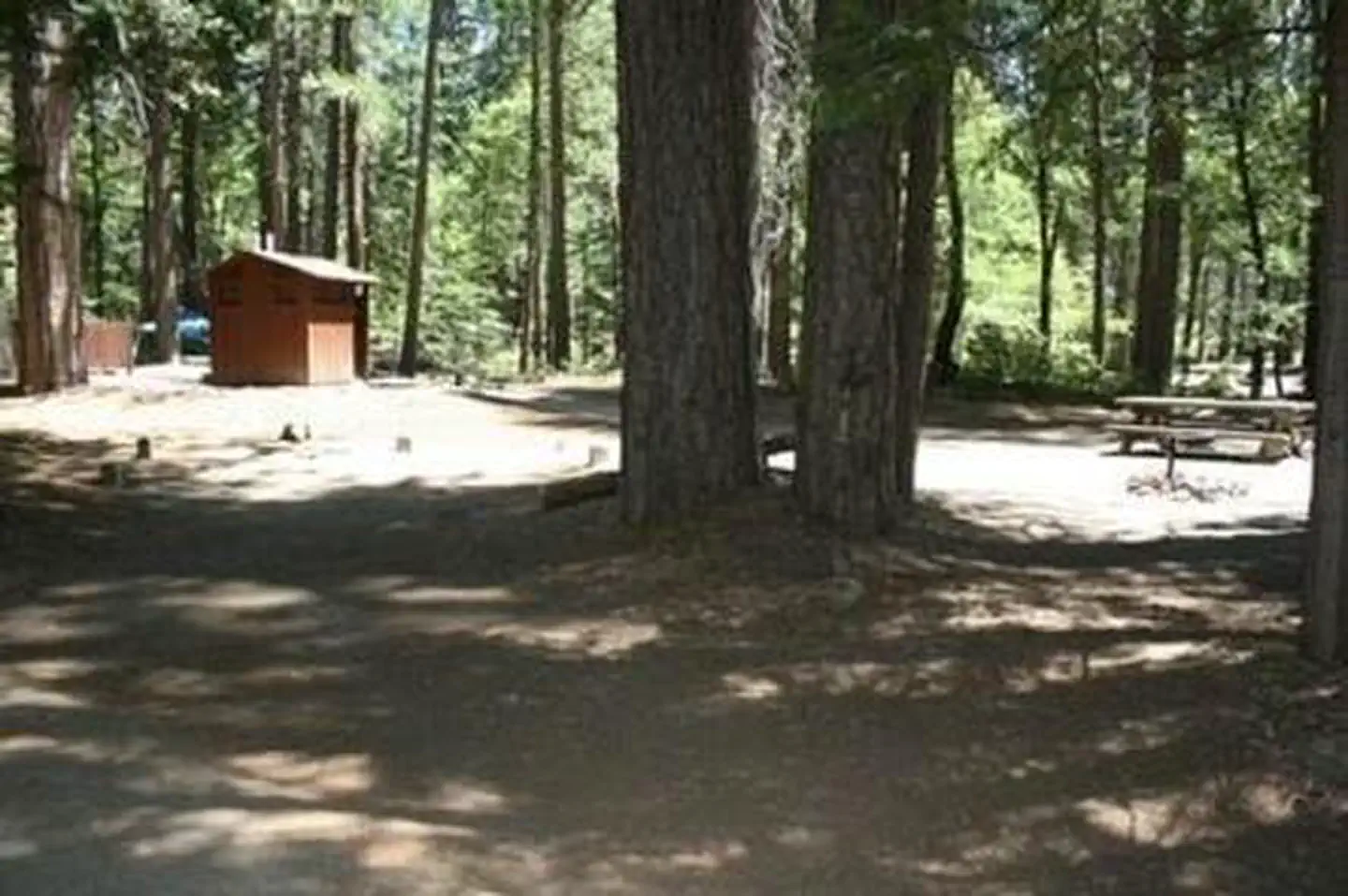 Rock Creek (sierra Natl Fores) — ROCK CREEK (SIERRA NATL FORES)