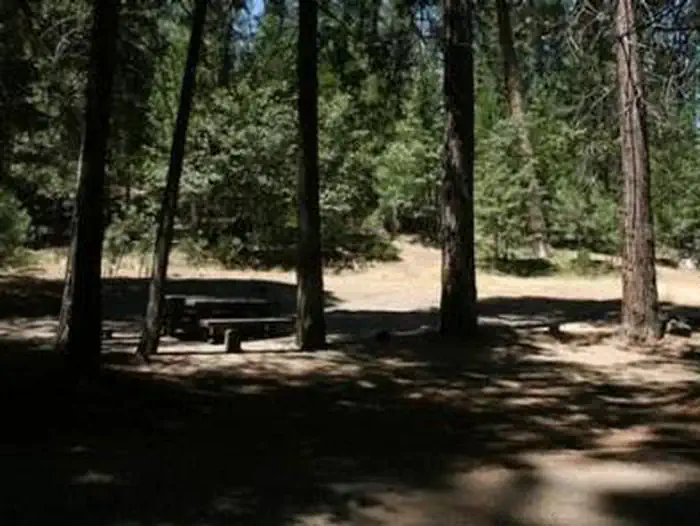 Rock Creek (sierra Natl Fores) — A picnic table under a shady grove