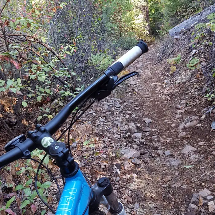 Skillman — Hallelujah Trail