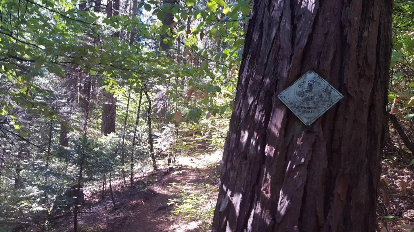 Skillman — Pioneer Trail