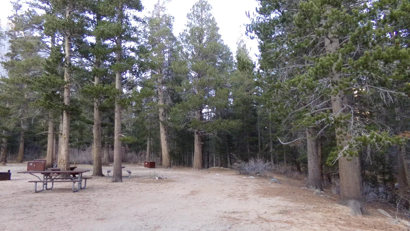 Palisade Campground