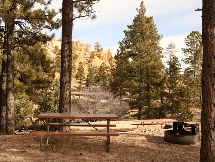 North Campground — NORTH CAMPGROUND