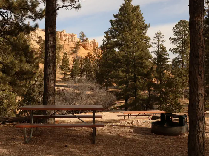 North Campground — North Campground Site