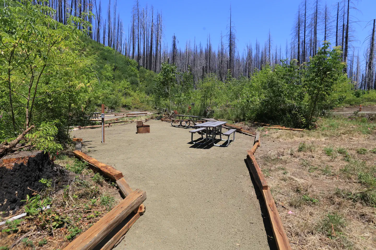 Lone Pine Group Campground — Group Area