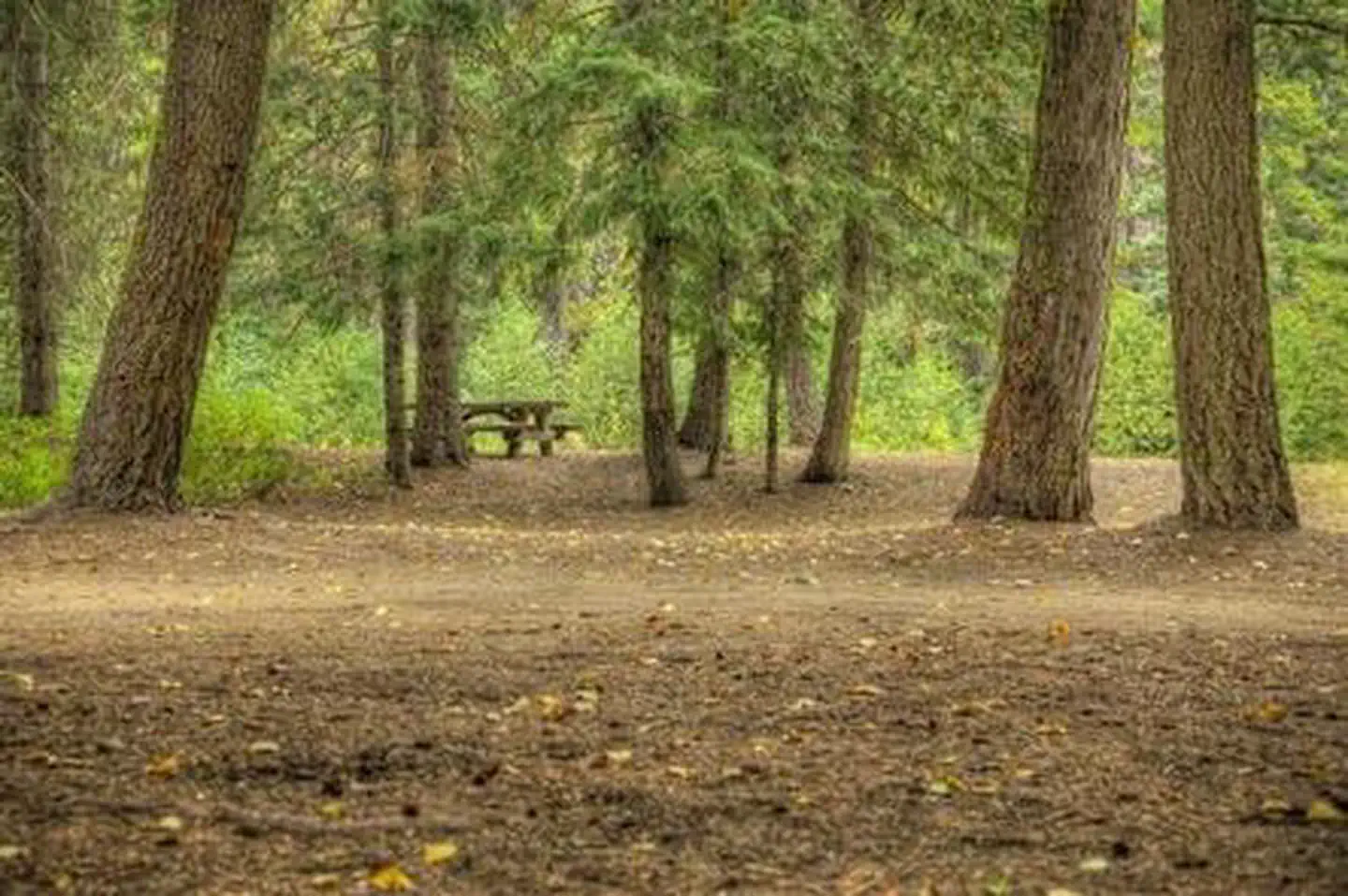 Hells Crossing Campground — HELLS CROSSING CAMPGROUND