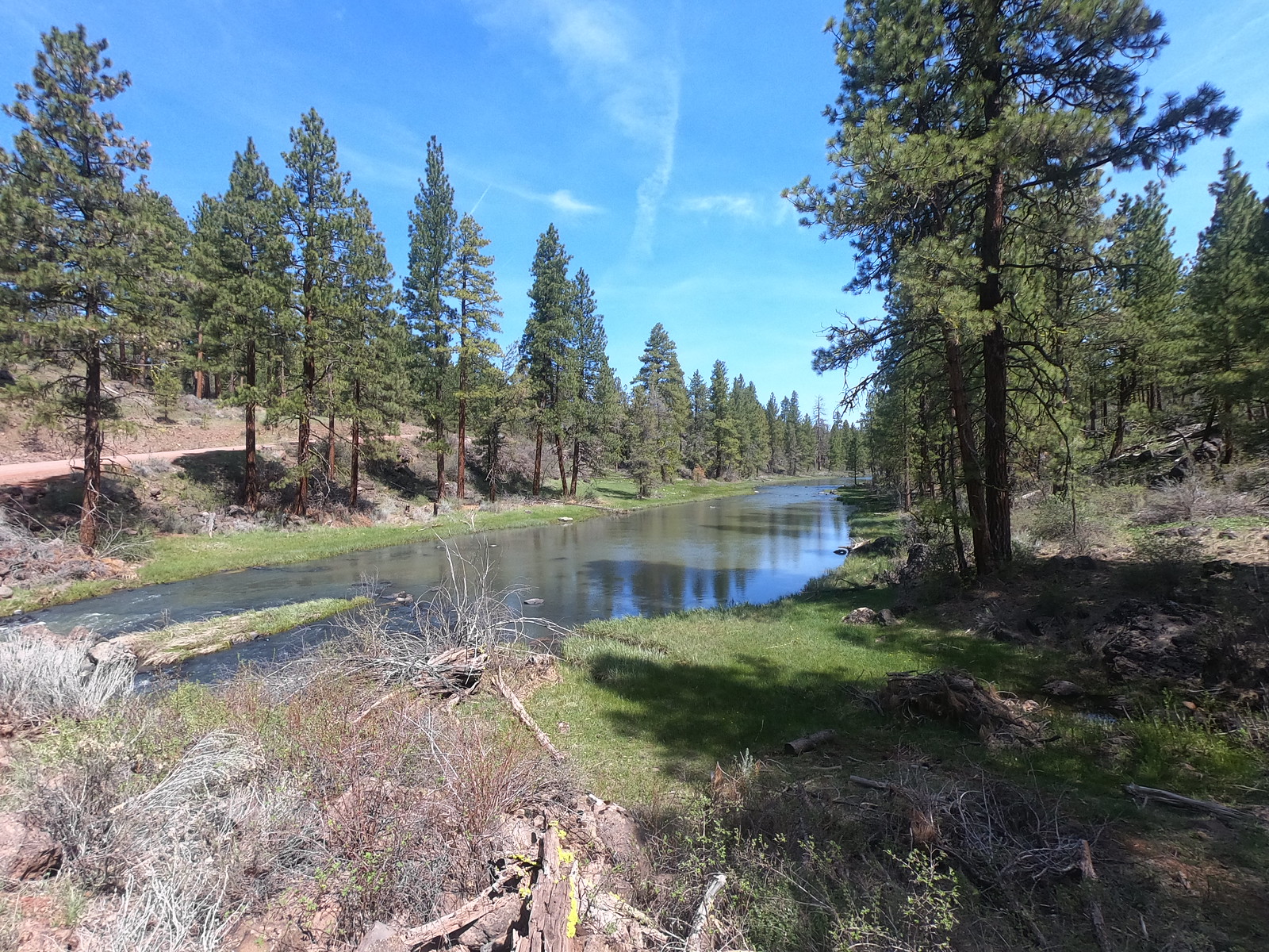 Gerber Recreation Area — View from Miller Creek campsite.