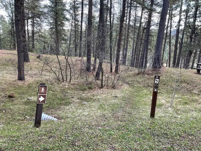 Cook Lake Rec Area — Cliff Swallow Trail