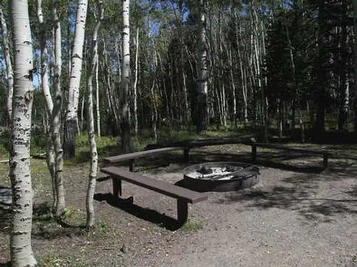 Elkhorn Campground — ELKHORN CAMPGROUND
