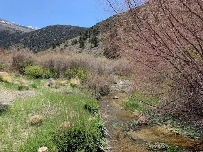 Bird Creek Campground — View of Bird Creek from Group Site A