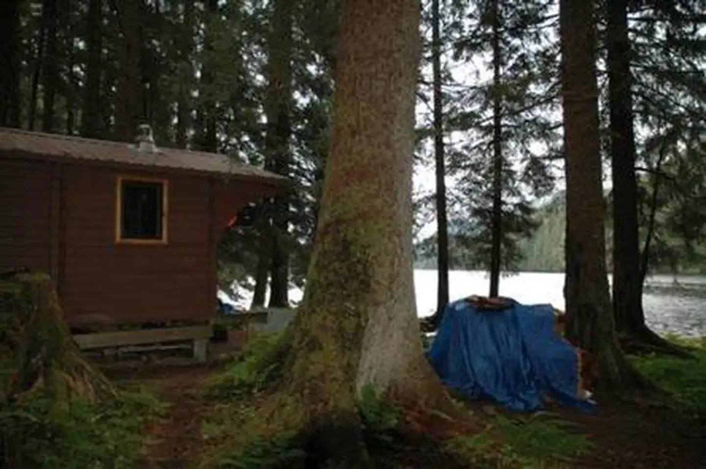 Young Lake (north) Cabin — YOUNG LAKE (NORTH) CABIN12