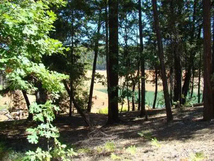 Minersville Campground — MINERSVILLE CAMPGROUND