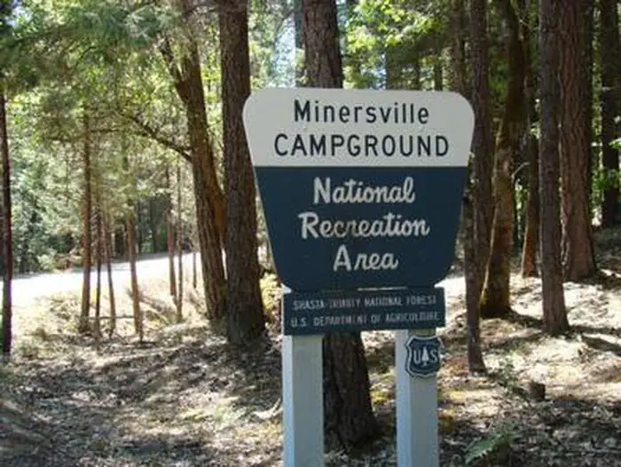 Minersville Campground — MINERSVILLE CAMPGROUND