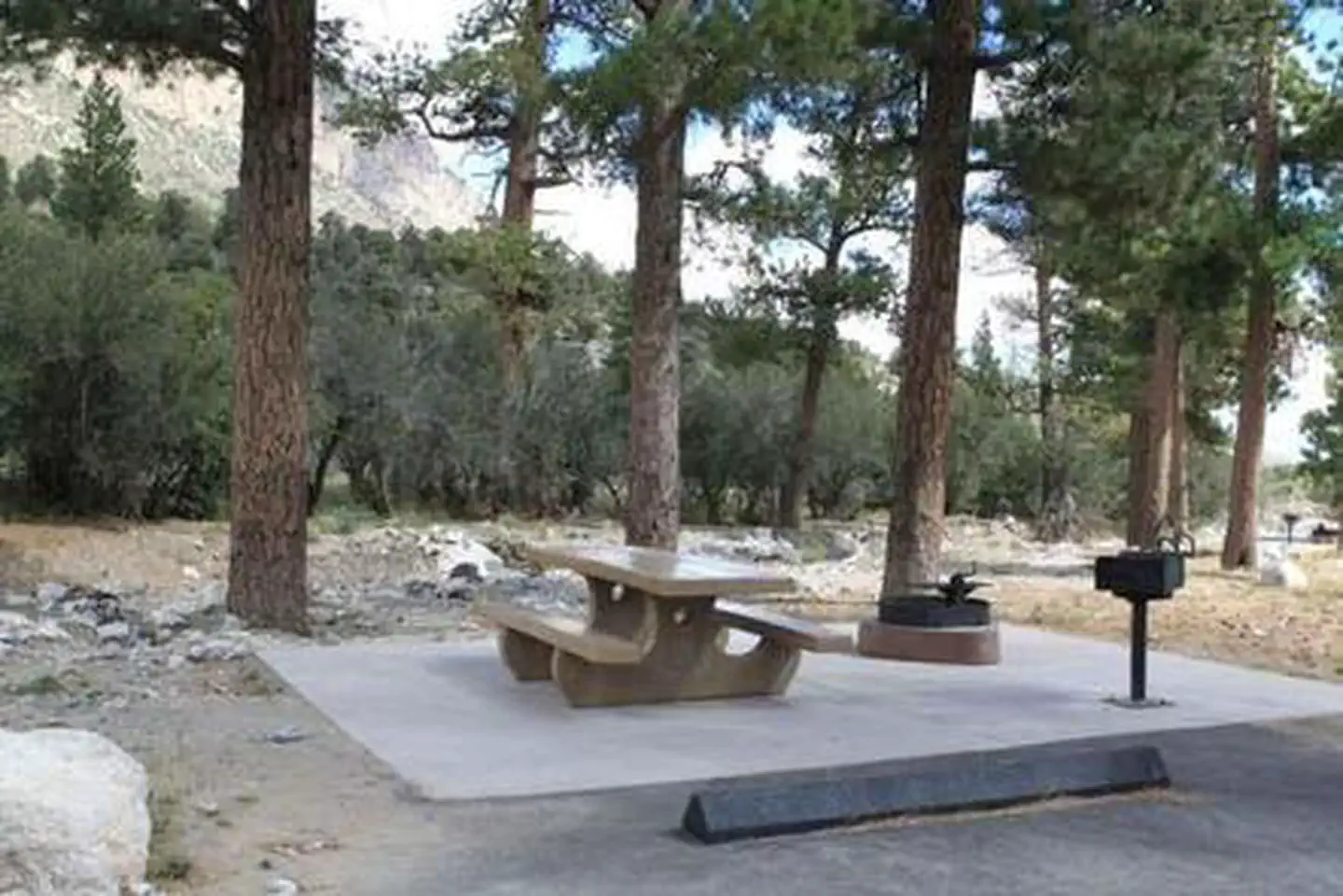 Kyle Canyon Campground (formerly Day Use only) — KYLE CANYON PICNIC AREA DAY USE