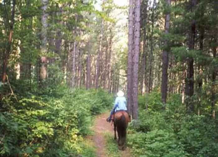 Cut Foot Horse Campground — CUT FOOT HORSE CAMPGROUND