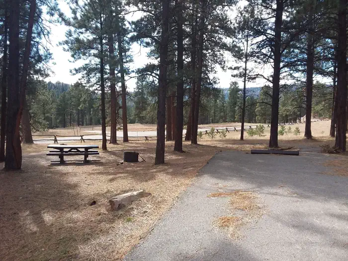 Rio De Las Vacas Campground — Rio de las Vacas Campground Site 15