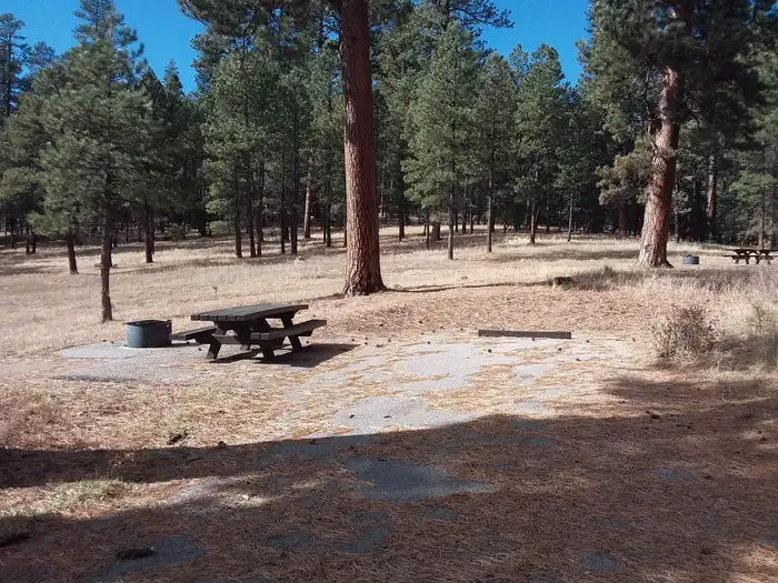 Rio De Las Vacas Campground — Rio de las Vacas Campground Site 10