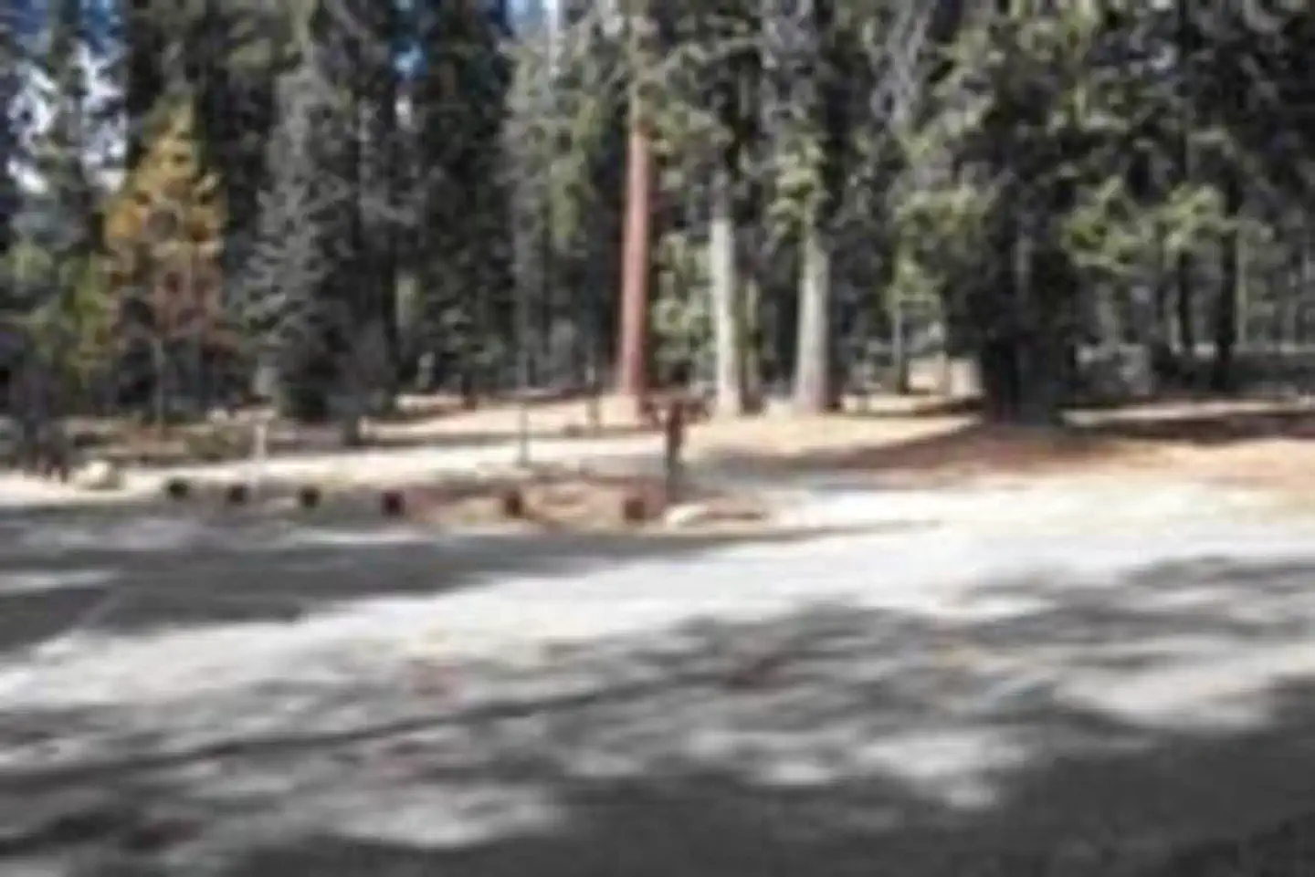 Dorst Creek Campground - Sequoia National Park — STONY CREEK SEQUOIA
