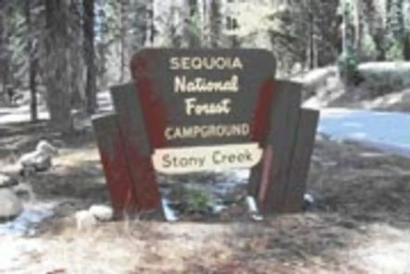 Dorst Creek Campground - Sequoia National Park — STONY CREEK SEQUOIA