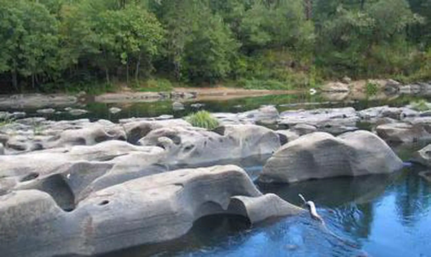 Eagleview Group Campground (reservation) — Eagleview Group Campground River