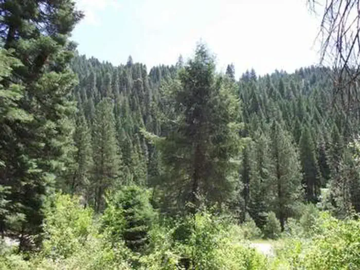 Cold Springs Campground - Boise Nf (id) β COLD SPRINGS CAMPGROUND - BOISE NF