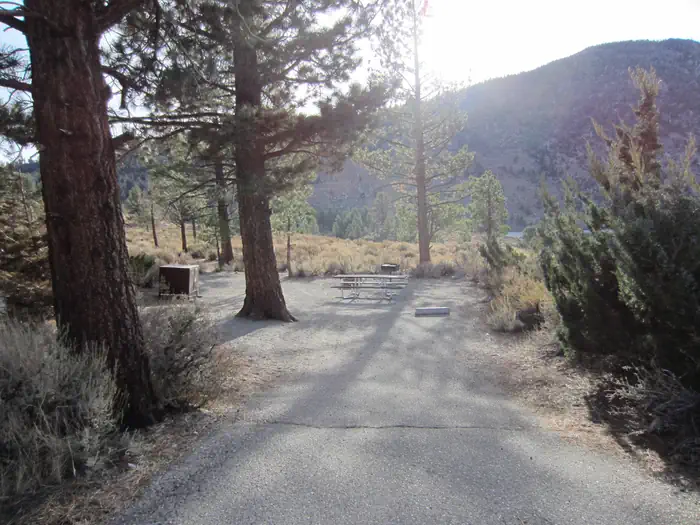 Oh! Ridge Campground — Oh Ridge Campground