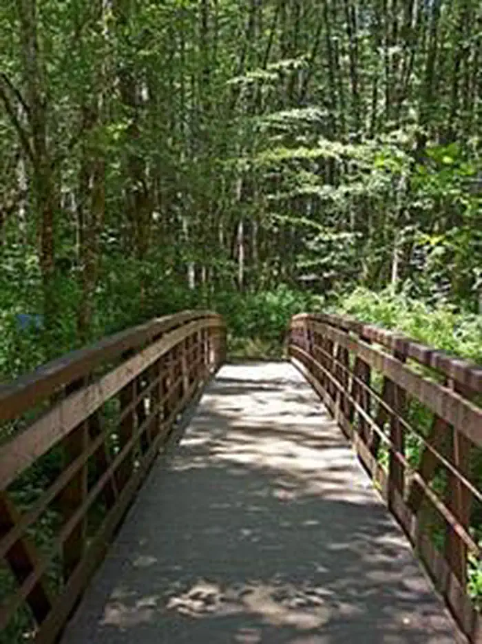 Alsea Falls Recreation Site (campground) β Alsea Falls Bridge is centered in the photo surrounded by green trees in the background.