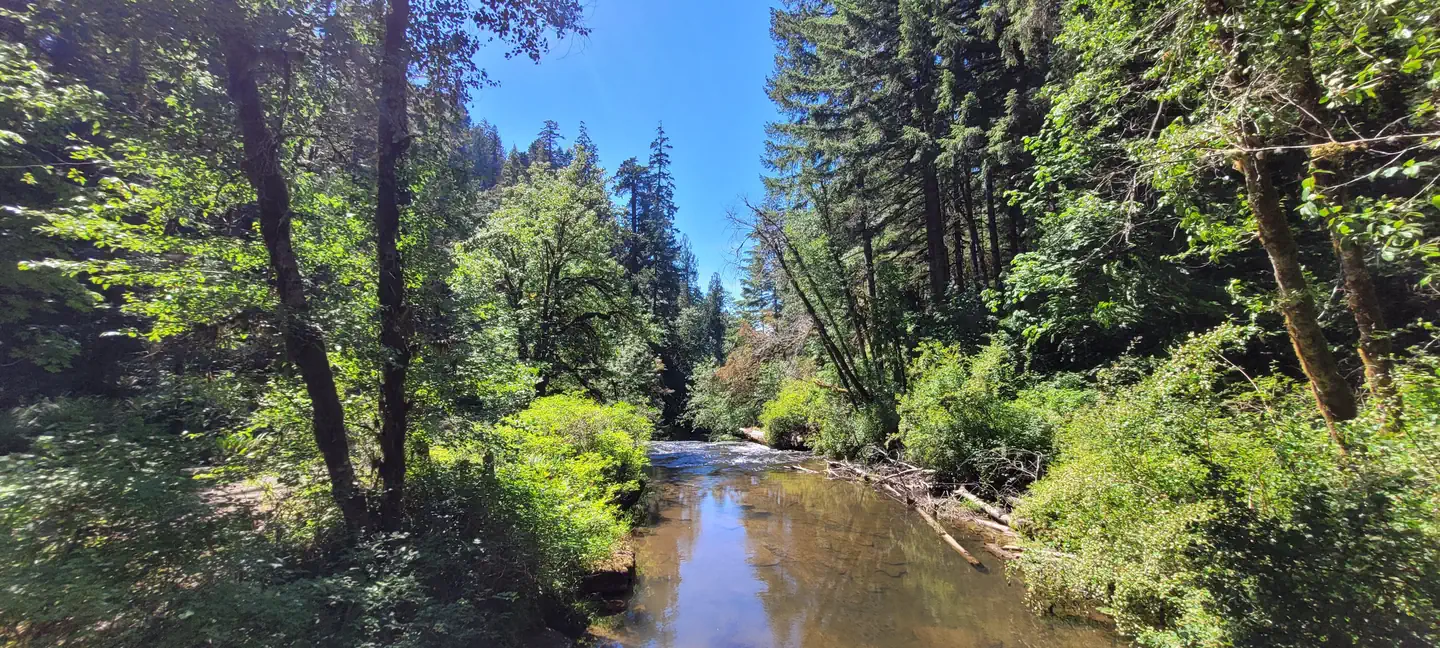 Alsea Falls Recreation Site (campground) β View of Alsea Falls from the bridge in the day use site. The river is central in the photo with calm water, reflecting the blue sky. The scene is surrounded by green trees and shrubs.